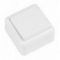 AMIG 21172  
 Interruptor de sobreponer 380  
 60 x 60 mm  
 Policarbonato  
 Blanco
