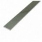 AMIG 21297  
 Pletina acero inox 18/8  
 15 x 1,5 mm  
 Acero inoxidable 18/8  
 Brillo
