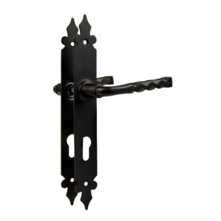 AMIG 21678  
 Manilla con placa 106PB  
 270 x 36 mm  
 Placa de acero, Tirador de zamak  
 Negro