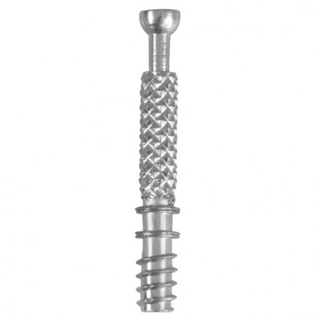 AMIG 22186  
 Enganche excéntrica 55  
 Ø6 x 44 x 34 x 11 mm  
 Acero  
 Zincado