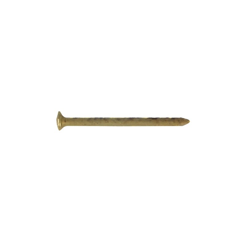 AMIG 22651  
 Clavo 1x10  
 Ø1 x 10 mm  
 Acero  
 Latonado
