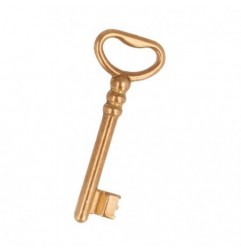 AMIG 22740  
 Llave en bruto 9716  
 Zamak  
 Latonado barnizado - Derecha