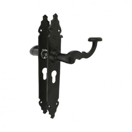 AMIG 23384  
 Manilla con placa 100PB  
 280 x 44 mm  
 Placa de acero, Tirador de zamak  
 Negro