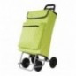 AMIG 23578  
 Carro compra termo 5  
 Acero  
 Verde