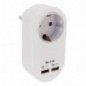 AMIG 23616  
 Adaptador cargador USB 3216  
 Polipropileno  
 Blanco