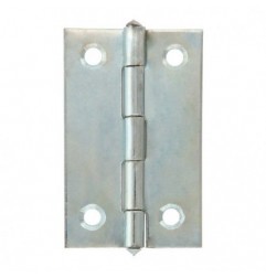 AMIG 23631  
 Bisagra 5005  
 2''  
 Acero  
 Zincado