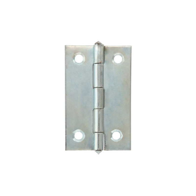 AMIG 23631  
 Bisagra 5005  
 2''  
 Acero  
 Zincado