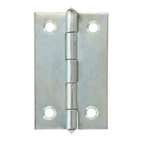 AMIG 23631  
 Bisagra 5005  
 2''  
 Acero  
 Zincado