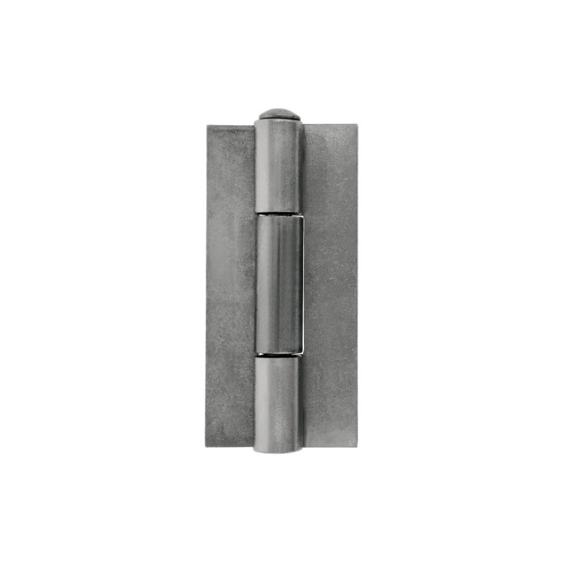 AMIG 23749  
 Bisagra libro 20  
 120 x 58 mm  
 Acero  
 Pulido