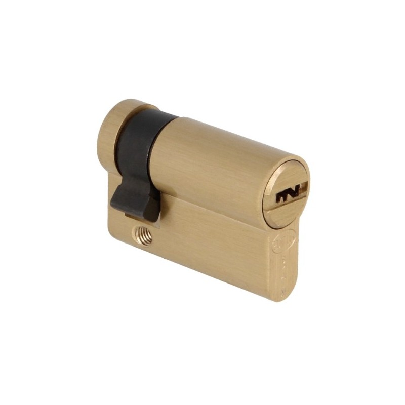 AMIG 23818  
 Cilindro 10000S  
 41 (31-10)  
 Latón  
 Mate