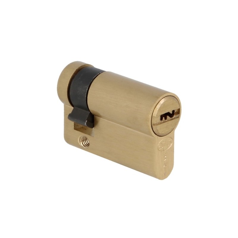 AMIG 23824  
 Cilindro 10010S  
 41 (31-10)  
 Latón  
 Mate