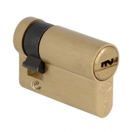 AMIG 23824  
 Cilindro 10010S  
 41 (31-10)  
 Latón  
 Mate