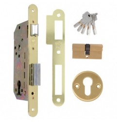 AMIG 23982  
 Cerradura 341 BASE  
 50/85  
 Acero  
 Latonado barnizado