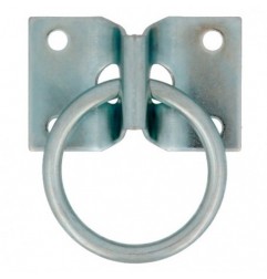 AMIG 24154  
 Placa con anilla móvil 507  
 72 x 45 mm  
 Acero  
 Zincado
