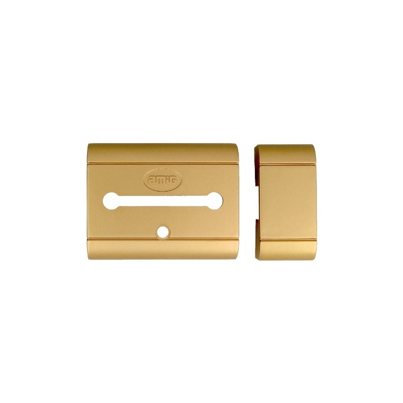 AMIG 24262  
 Carcasa 15 PLUS  
 Oro