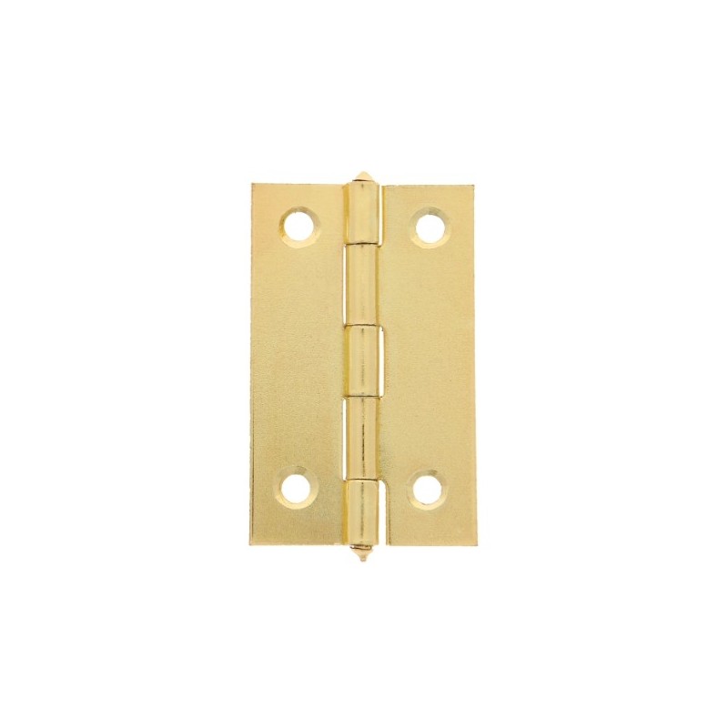 AMIG 24287  
 Bisagra 5005  
 2''  
 Acero  
 Latonado