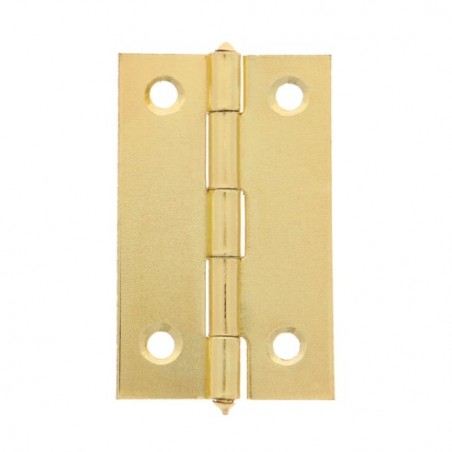 AMIG 24287  
 Bisagra 5005  
 2''  
 Acero  
 Latonado