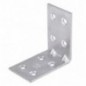 AMIG 24568  
 Ángulo 1  
 50 x 30 x 2 mm  
 Acero  
 Zincado