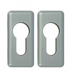 AMIG 24787  
 Bocallave 30AL  
 59 x 28 mm  
 Zamak  
 Plata