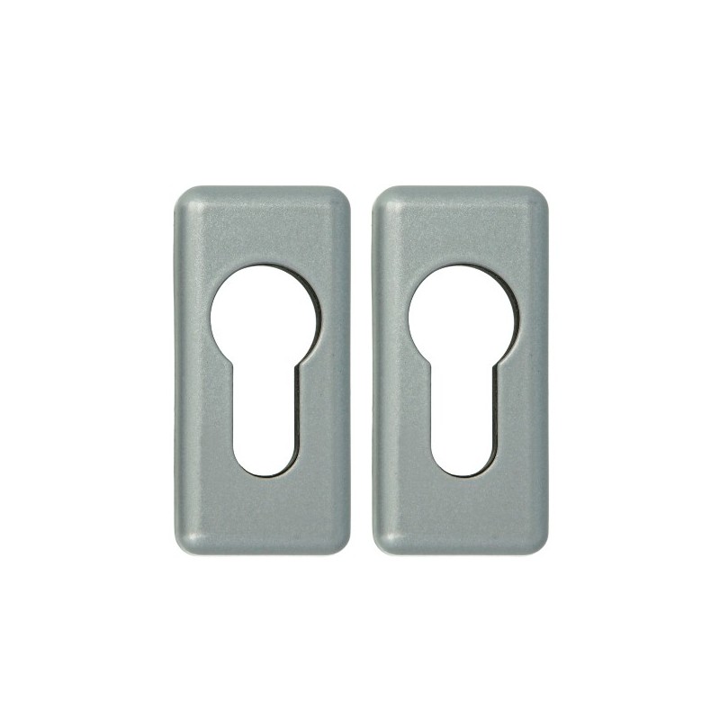 AMIG 24787  
 Bocallave 30AL  
 59 x 28 mm  
 Zamak  
 Plata