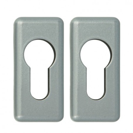 AMIG 24787  
 Bocallave 30AL  
 59 x 28 mm  
 Zamak  
 Plata