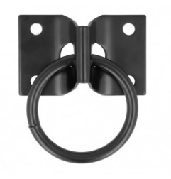 AMIG 24856  
 Placa con anilla móvil 507  
 70 x 45 mm  
 Acero  
 Negro