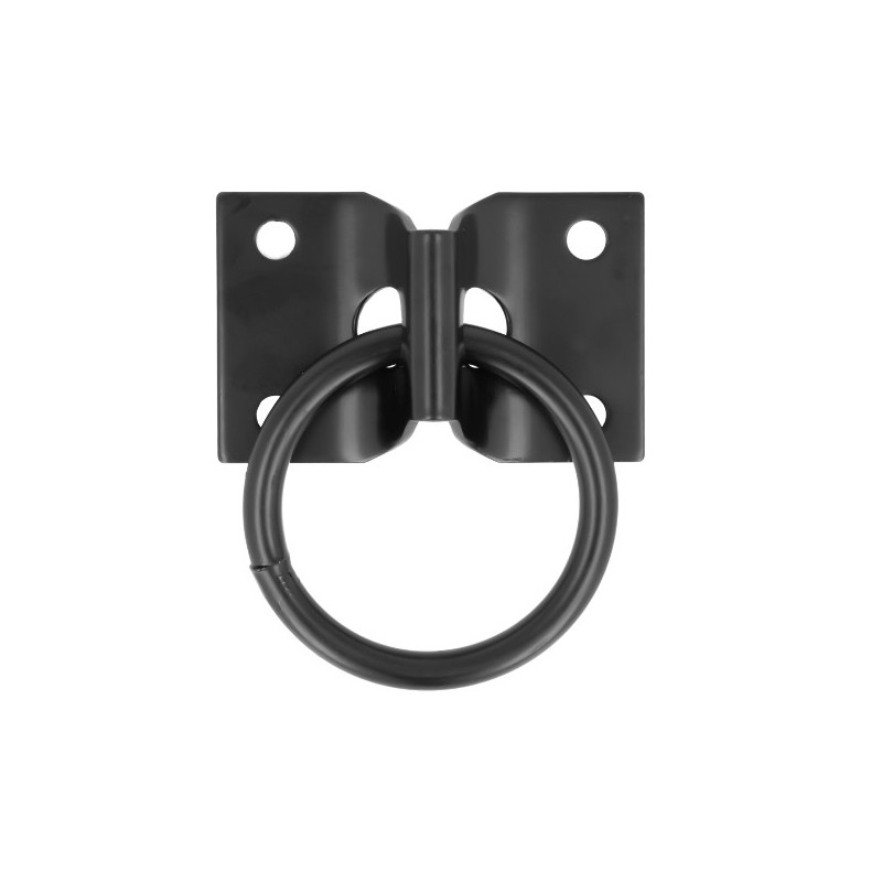 AMIG 24856  
 Placa con anilla móvil 507  
 70 x 45 mm  
 Acero  
 Negro