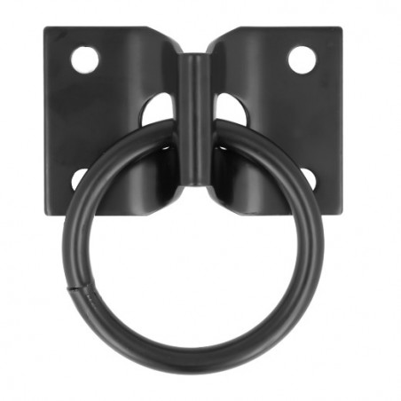 AMIG 24856  
 Placa con anilla móvil 507  
 70 x 45 mm  
 Acero  
 Negro