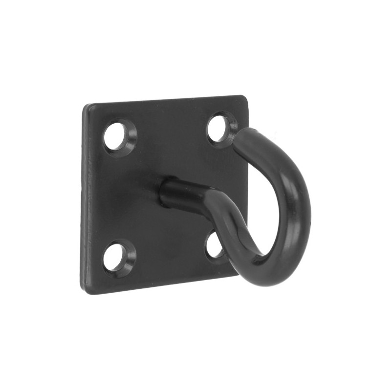 AMIG 24859  
 Placa con gancho fijo 510  
 50 X 50 X 5 mm  
 Acero  
 Negro