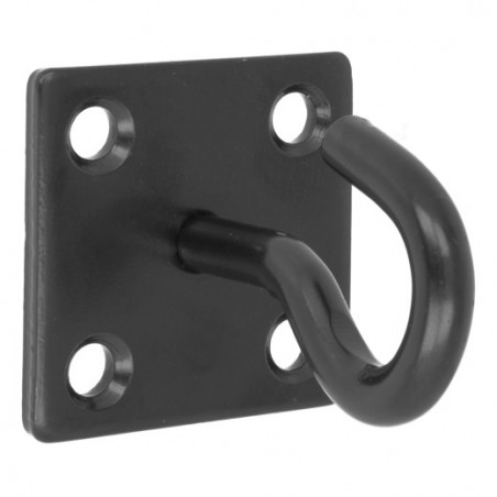 AMIG 24859  
 Placa con gancho fijo 510  
 50 X 50 X 5 mm  
 Acero  
 Negro
