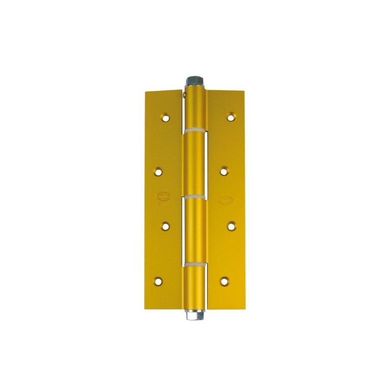 AMIG 2924  
 Bisagra simple acción 3034  
 180 x 80 x 4 mm  
 Aluminio  
 Oro