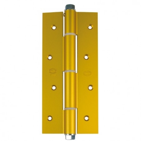 AMIG 2924  
 Bisagra simple acción 3034  
 180 x 80 x 4 mm  
 Aluminio  
 Oro