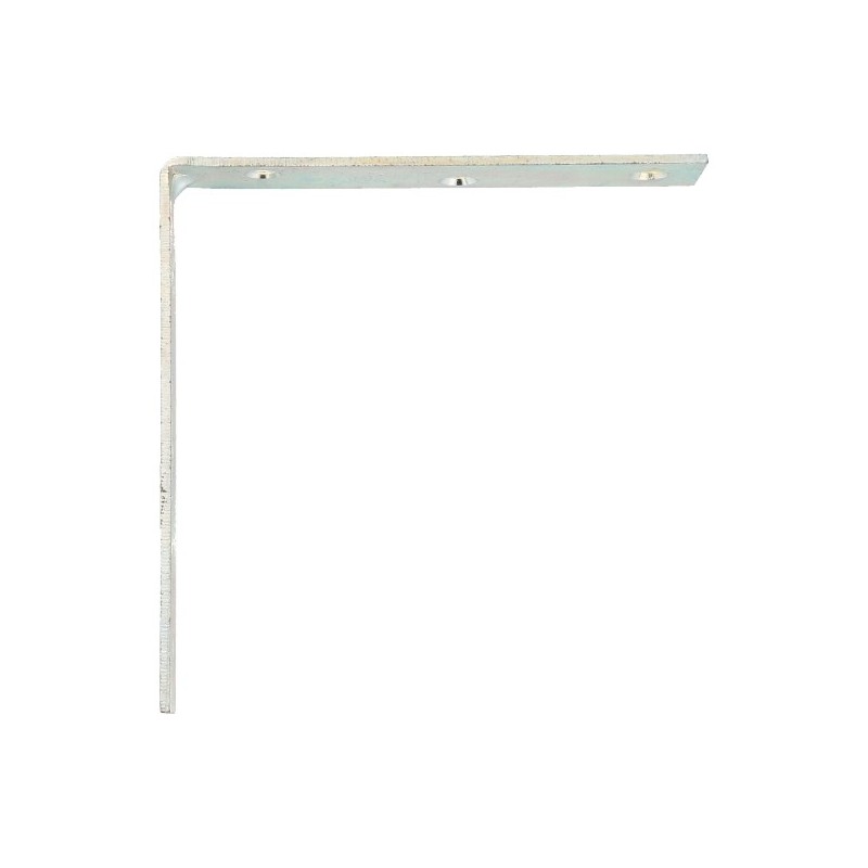 AMIG 393  
 Ángulo 1  
 100 x 19 x 2 mm  
 Acero  
 Zincado