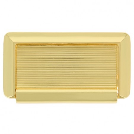 AMIG 4066  
 Tirador tarjeta 295  
 72 x 40 mm  
 Zamak  
 Lacado oro