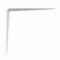 AMIG 4412  
 Palomilla 1  
 250 x 200 mm (10'' x 8'')  
 Acero  
 Blanco