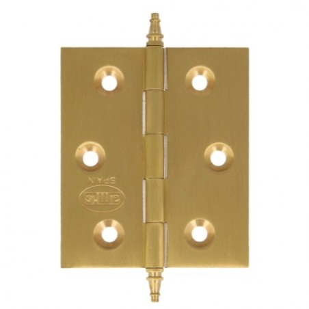 AMIG 5209  
 Bisagra 1003  
 60 x 50 x 2 mm  
 Latón  
 Mate