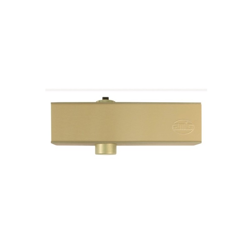 AMIG 5382  
 Cierrapuertas 4000  
 Fuerza 4  
 Aluminio  
 Oro