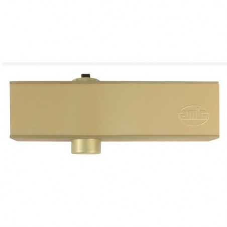 AMIG 5382  
 Cierrapuertas 4000  
 Fuerza 4  
 Aluminio  
 Oro