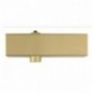 AMIG 5382  
 Cierrapuertas 4000  
 Fuerza 4  
 Aluminio  
 Oro