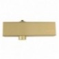 AMIG 5386  
 Cierrapuertas 6000  
 Fuerza 2 a 6  
 Aluminio  
 Oro