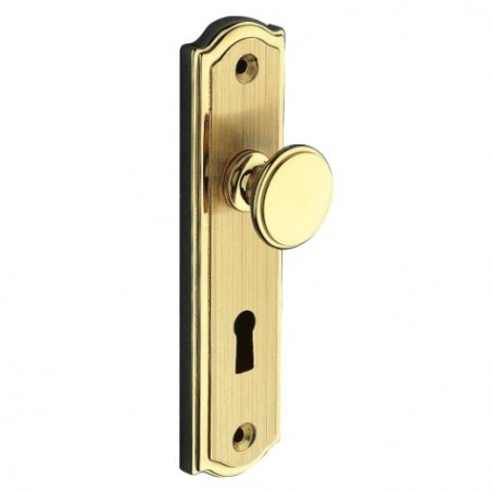 AMIG 5902  
 Escudo tirador 21  
 118 x 30 mm  
 Latón  
 Pulido/Cepillado