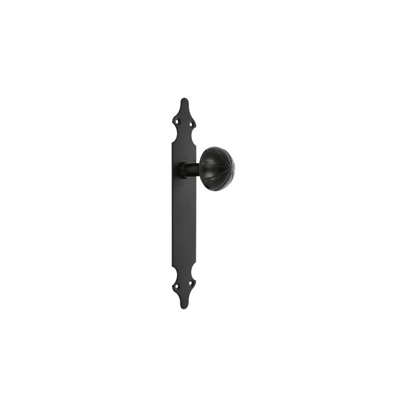 AMIG 6133  
 Pomo puerta con placa 18  
 280 x 45 x 2 mm  
 Placa de acero, Pomo de zamak  
 Negro