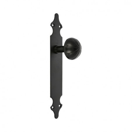 AMIG 6133  
 Pomo puerta con placa 18  
 280 x 45 x 2 mm  
 Placa de acero, Pomo de zamak  
 Negro