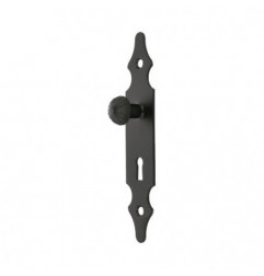 AMIG 6432  
 Escudo tirador con bocallave 102  
 146 x 30 mm  
 Acero  
 Negro