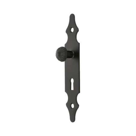 AMIG 6432  
 Escudo tirador con bocallave 102  
 146 x 30 mm  
 Acero  
 Negro