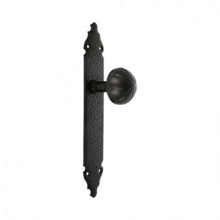 AMIG 6433  
 Pomo puerta con placa 19  
 280 x 45 x 2 mm  
 Placa de acero, Pomo de zamak  
 Negro