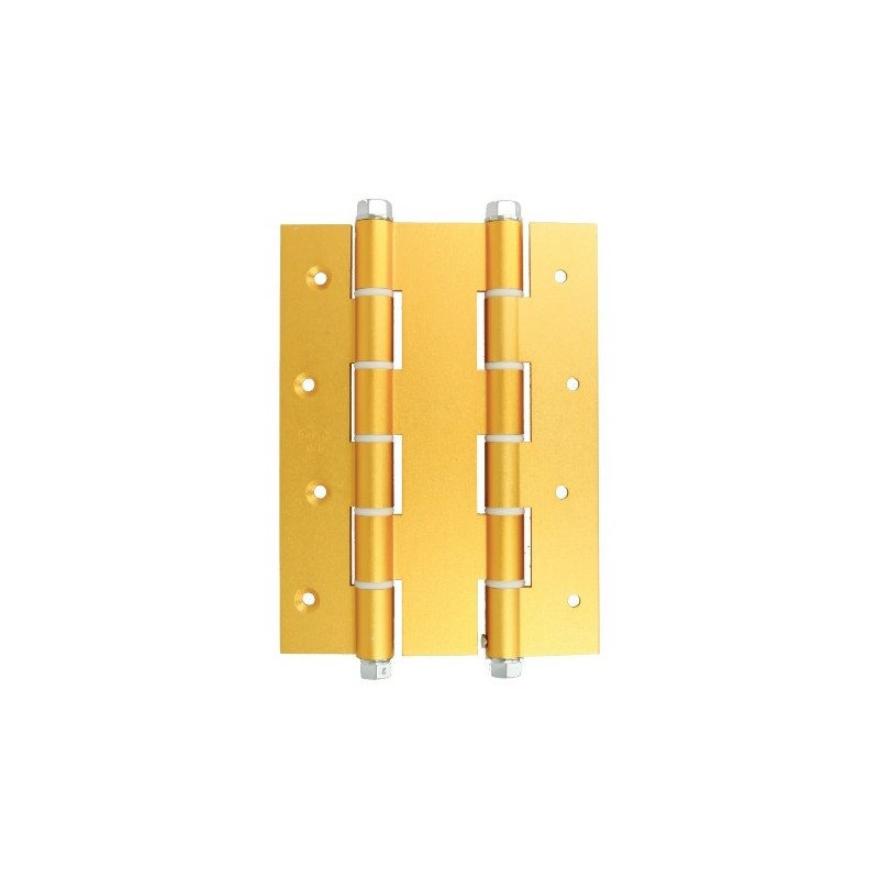 AMIG 6591  
 Bisagra doble acción 3035  
 180 x 133 x 4 mm  
 Aluminio  
 Oro