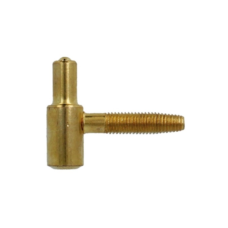 AMIG 6837  
 Pernio 20  
 14 x 48 mm  
 Acero  
 Latonado barnizado