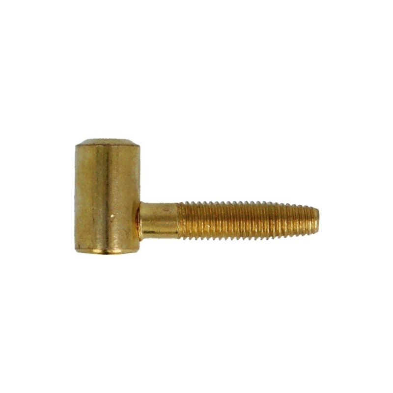 AMIG 6841  
 Pernio 20  
 16 x 52 mm  
 Acero  
 Latonado barnizado