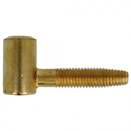AMIG 6841  
 Pernio 20  
 16 x 52 mm  
 Acero  
 Latonado barnizado